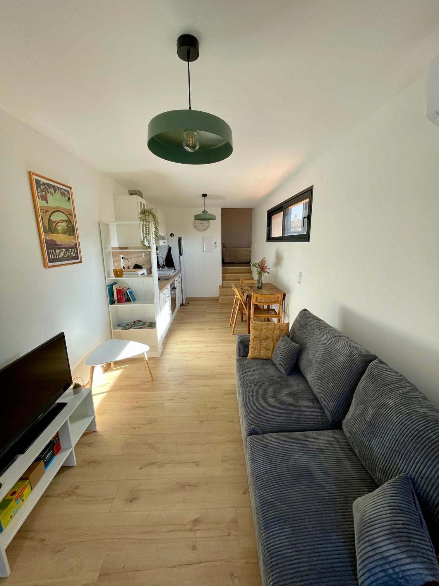 Bel Appartement A Céret Eksteriør billede