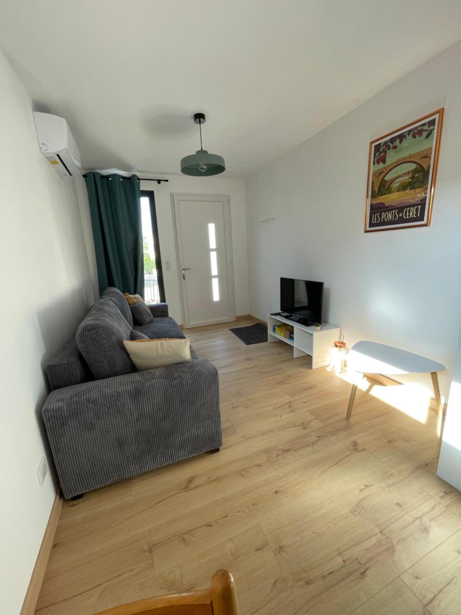 Bel Appartement A Céret Eksteriør billede