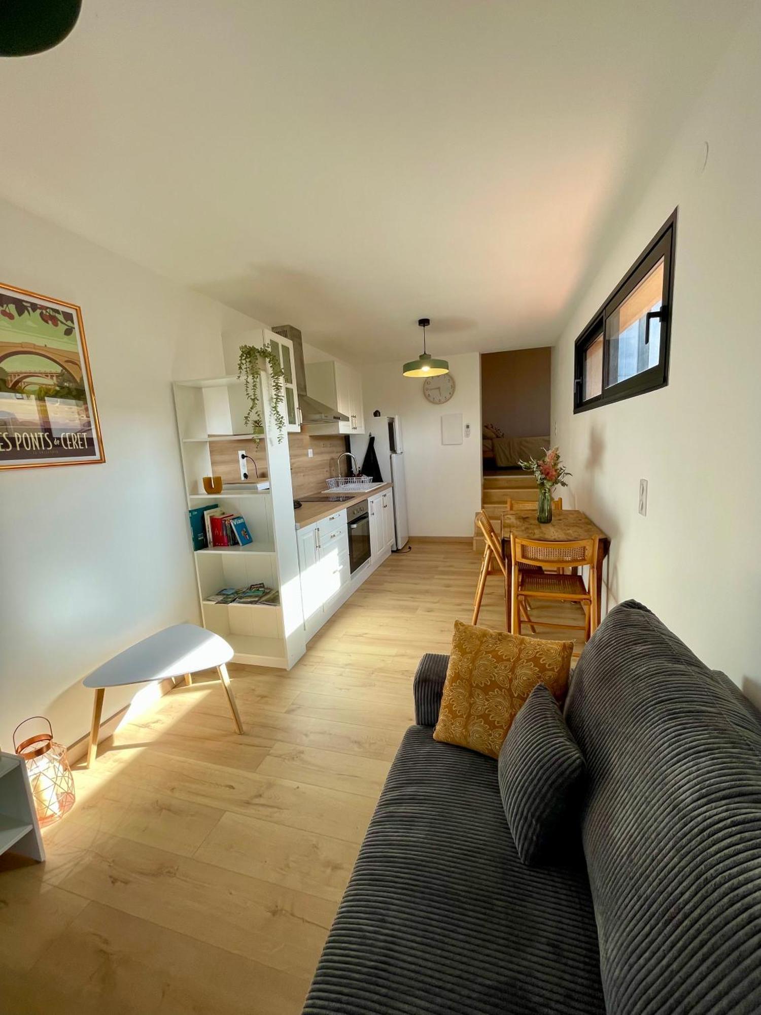 Bel Appartement A Céret Eksteriør billede